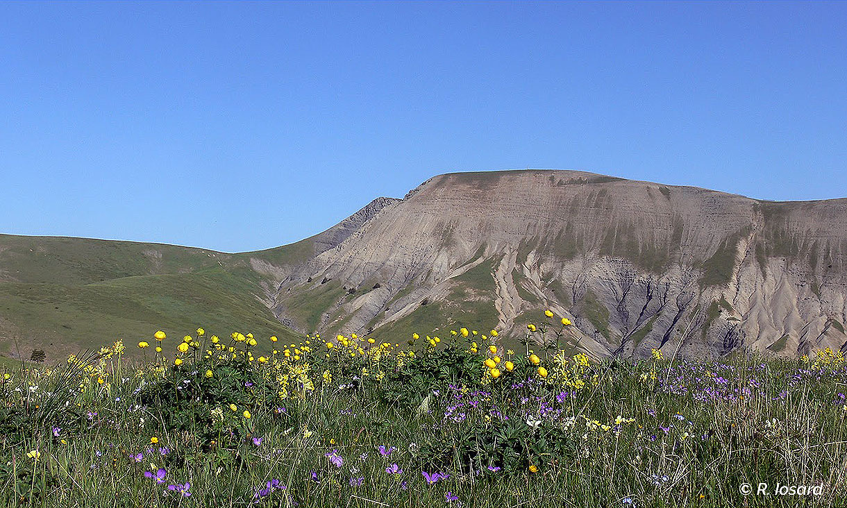 1er jour : Selonnet (1600 m) – Auzet (1250 m)