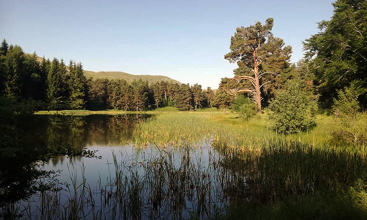 5ème jour : Lac de Monges – Bayons (1550 m)  