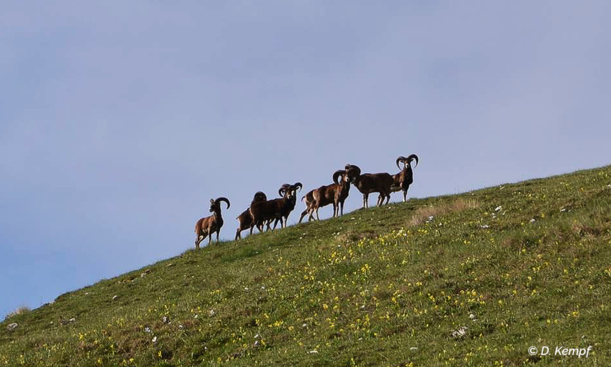 3ème jour : Barles – Fontbelle (1320 m)