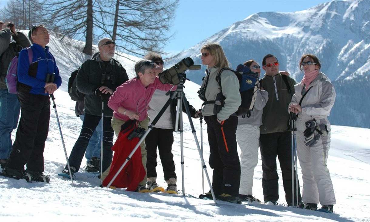 Raquettes à neige thématique