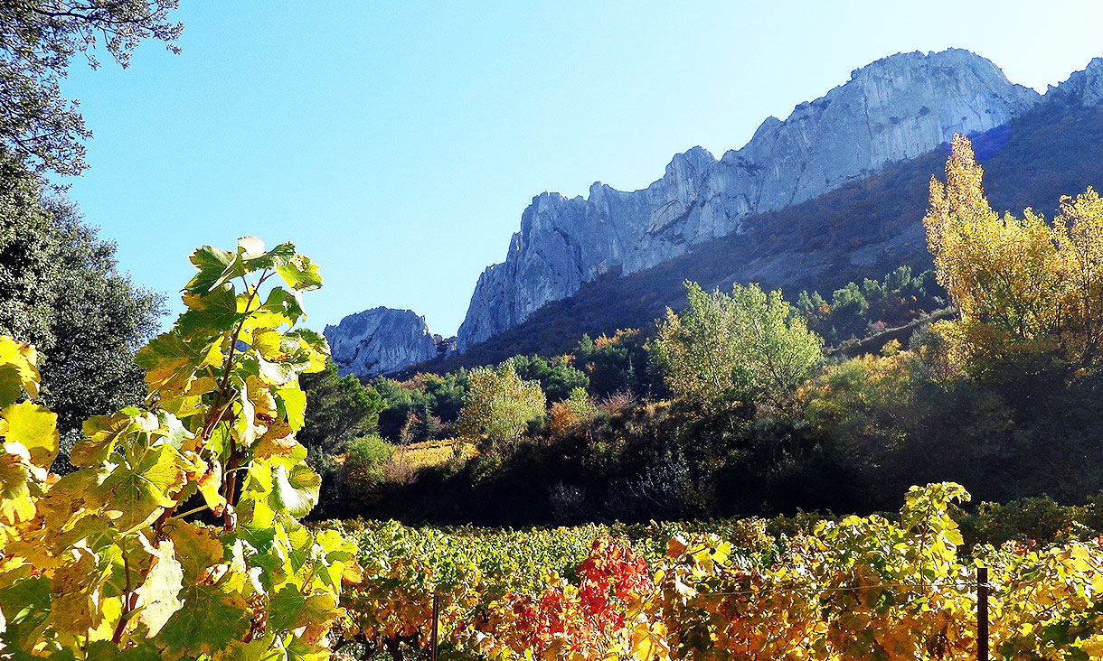 3ème jour / journée : Vaison-la-Romaine et Vignobles de Beaumes de Venise (80Kms)