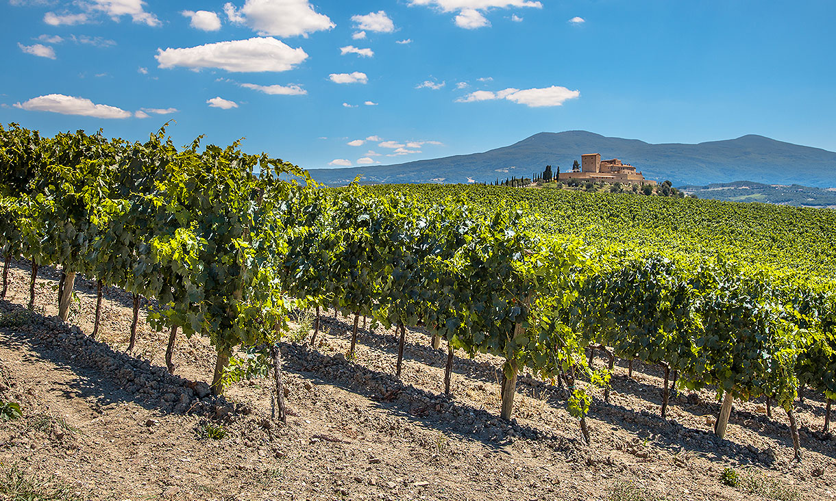 4ème jour / Entre vignes et châteaux